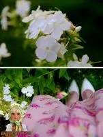 Дівчата - шиємо спідницю з асиметричним низом (хай-лоу) своїми руками (асиметрія) Дівчата - шиємо спідницю з асиметричним низом (хай-лоу) своїми руками