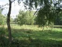Дитяча психіатрична лікарня терміново, діти, дитяче здоров'я