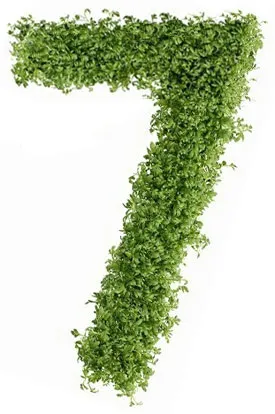 Дієта №7 (стіл №7) харчування при захворюваннях нирок, медицина на - добро є! (Дієта стіл номер 7) Дієта №7 (стіл №7) харчування при захворюваннях нирок, медицина на - добро є!