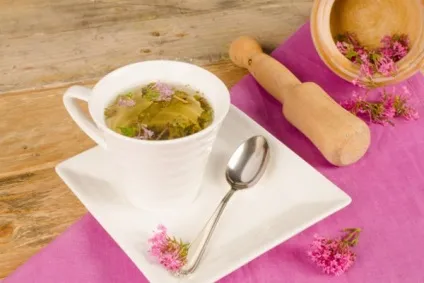 Дерматит атопічний лікування народними засобами у дорослих (лікування) Дерматит атопічний лікування народними засобами у дорослих