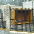 Правильний догляд за щеням кавказької вівчарки (вівчарки) Правильний догляд за щеням кавказької вівчарки