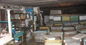 Споруда для зимівлі бджіл що таке зимівник і які види бувають