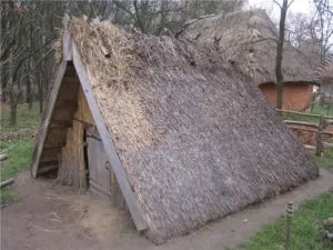 Споруда для зимівлі бджіл що таке зимівник і які види бувають