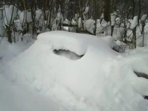Споруда для зимівлі бджіл що таке зимівник і які види бувають