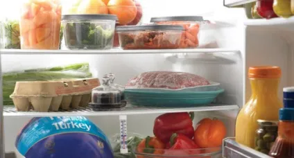Правила зберігання продуктів в холодильнику (всього тримати спеціальних) Правила зберігання продуктів в холодильнику
