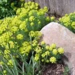 Веранда прибудована до будинку - функції, види і фото варіантів (дому) Веранда прибудована до будинку - функції, види і фото варіантів