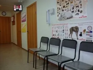 Ветеринарна клініка Петан в Маріуполі (ветеринарна клініка) Ветеринарна клініка Петан в Маріуполі