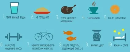 Вага встав - як змусити організм знову худнути (худнути) Вага встав - як змусити організм знову худнути