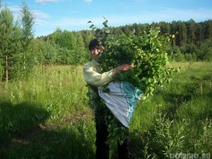 Віник для лазні, види, заготовляємо віники для лазні, корисні поради (віник) Віник для лазні, види, заготовляємо віники для лазні, корисні поради
