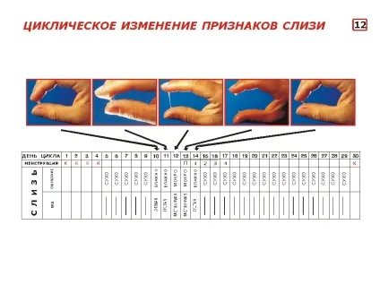 Виділення у вигляді слизу у жінок причини і лікування, феломена (жінок) Виділення у вигляді слизу у жінок причини і лікування, феломена