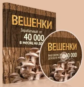 Вирощування вёшенок в домашніх умовах як бізнес (бізнес) Вирощування вёшенок в домашніх умовах як бізнес