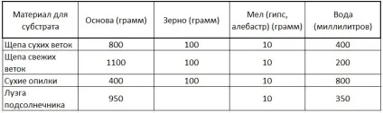 Вирощування зимових опеньків на дачі і в домашніх умовах - город без турбот
