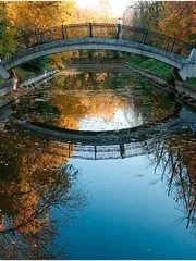Виставки кішок в москві