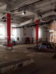 Виставки кішок в москві