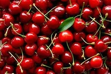 Вишня, лікування вишнею (вишня) Вишня, лікування вишнею