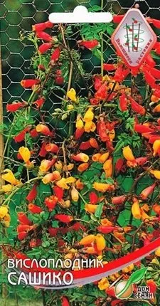 Віслоплодник фото, види, вирощування і догляд (догляд) Віслоплодник фото, види, вирощування і догляд