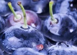 У яких продуктах міститься ресвератрол (яких продуктах міститься) У яких продуктах міститься ресвератрол