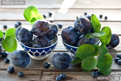 У яких продуктах міститься ресвератрол 1 (ресвератрол в продуктах харчування) У яких продуктах міститься ресвератрол 1