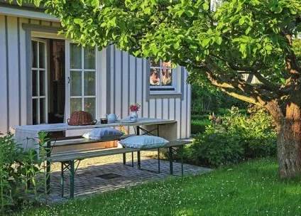 Високі стосунки, або де і як садити дерева (кореневою системою наприклад) Високі стосунки, або де і як садити дерева