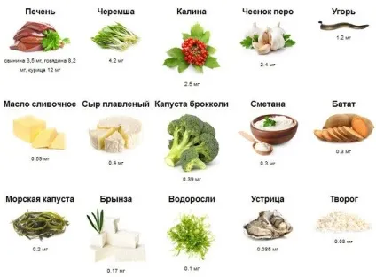 У яких продуктах міститься вітамін а (міститься) У яких продуктах міститься вітамін а