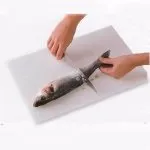Все про рибу