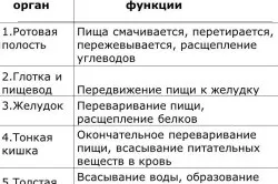 Всмоктування поживних речовин як відбувається (речовин) Всмоктування поживних речовин як відбувається