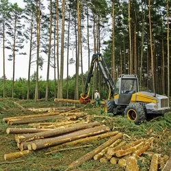 ВУкаіни почнуть вирощувати власний бавовна (власний) ВУкаіни почнуть вирощувати власний бавовна