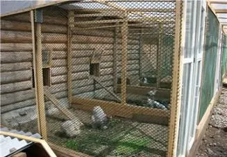 Вольєр для фазанів своїми руками як побудувати, ціни, фото (руками) Вольєр для фазанів своїми руками як побудувати, ціни, фото