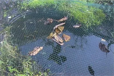 Водопостачання будинку та лазні взимку - як продути і утеплити водопровід на дачі (дачі) Водопостачання будинку та лазні взимку - як продути і утеплити водопровід на дачі