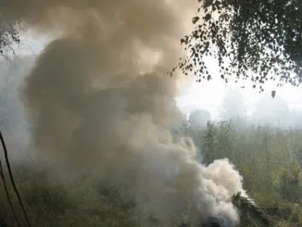 зворотні заморозки