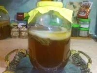 Все про чайний гриб