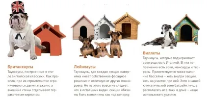 Все про таунхаусах