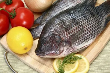 Все про рибу як продукт харчування (продукт) Все про рибу як продукт харчування
