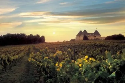 Why why wine - статті - старий світ - франція - шато - відображення суті вина або вдалий (wine) Why why wine - статті - старий світ - франція - шато - відображення суті вина або вдалий