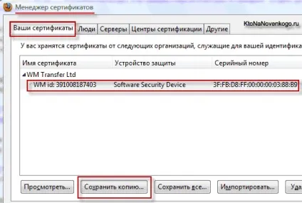 Webmoney keeper light