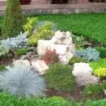 Хвойні в саду (38 фото) особливості чагарників, дерев для садового дизайну, фото і відео (дерев) Хвойні в саду (38 фото) особливості чагарників, дерев для садового дизайну, фото і відео