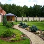 Хвойні в саду (38 фото) особливості чагарників, дерев для садового дизайну, фото і відео (досягати висоту метрів) Хвойні в саду (38 фото) особливості чагарників, дерев для садового дизайну, фото і відео