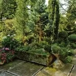Хвойні в саду (38 фото) особливості чагарників, дерев для садового дизайну, фото і відео (хвойні в саду чагарники дерева дизайні фото) Хвойні в саду (38 фото) особливості чагарників, дерев для садового дизайну, фото і відео