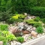 Хвойні в саду (38 фото) особливості чагарників, дерев для садового дизайну, фото і відео (хвойні) Хвойні в саду (38 фото) особливості чагарників, дерев для садового дизайну, фото і відео