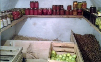 Зберігання картоплі в погребі гаража (погреби зберігання овочів гаражі) Зберігання картоплі в погребі гаража