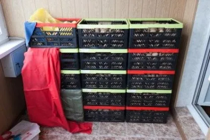 Зберігання картоплі в погребі як і при якій температурі (погребі) Зберігання картоплі в погребі як і при якій температурі