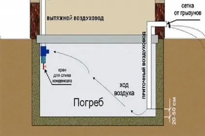 Зберігання картоплі в погребі гаража (погреби зберігання овочів гаражі) Зберігання картоплі в погребі гаража