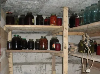 Зберігання картоплі в погребі гаража (погребі) Зберігання картоплі в погребі гаража
