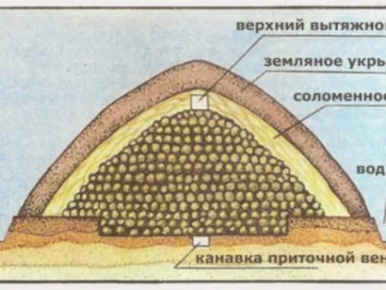 Зберігання картоплі в погребі як і при якій температурі (погребі) Зберігання картоплі в погребі як і при якій температурі