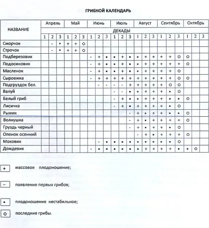 Господар лісу секрети збору грибів, про які не знає ніктo (господар) Господар лісу секрети збору грибів, про які не знає ніктo