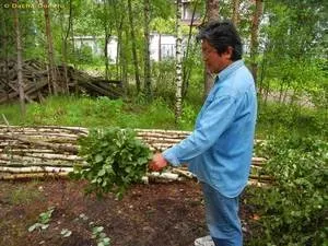 Заготівля віників для лазні терміни заготівлі березових гілок, коли слід різати віники з берези (лазні) Заготівля віників для лазні терміни заготівлі березових гілок, коли слід різати віники з берези