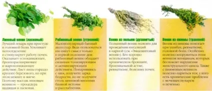 Заготівля віників для лазні, будівельний портал (лазні) Заготівля віників для лазні, будівельний портал