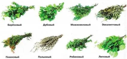 Заготівля віників для лазні, будівельний портал (лазні) Заготівля віників для лазні, будівельний портал