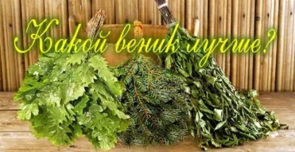 Заготівля віників для лазні, будівельний портал (заготівля віників лазні) Заготівля віників для лазні, будівельний портал