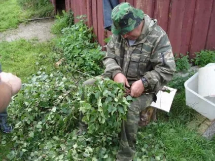 Заготівля віників для лазні, будівельний портал (віників) Заготівля віників для лазні, будівельний портал